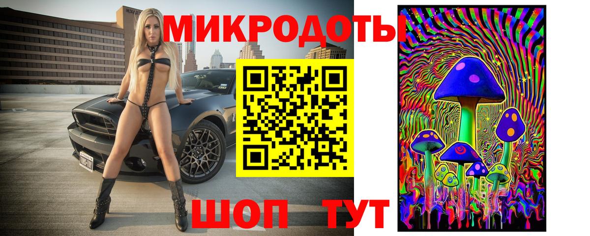 Галлюциногенные грибы Psilocybe Тобольск