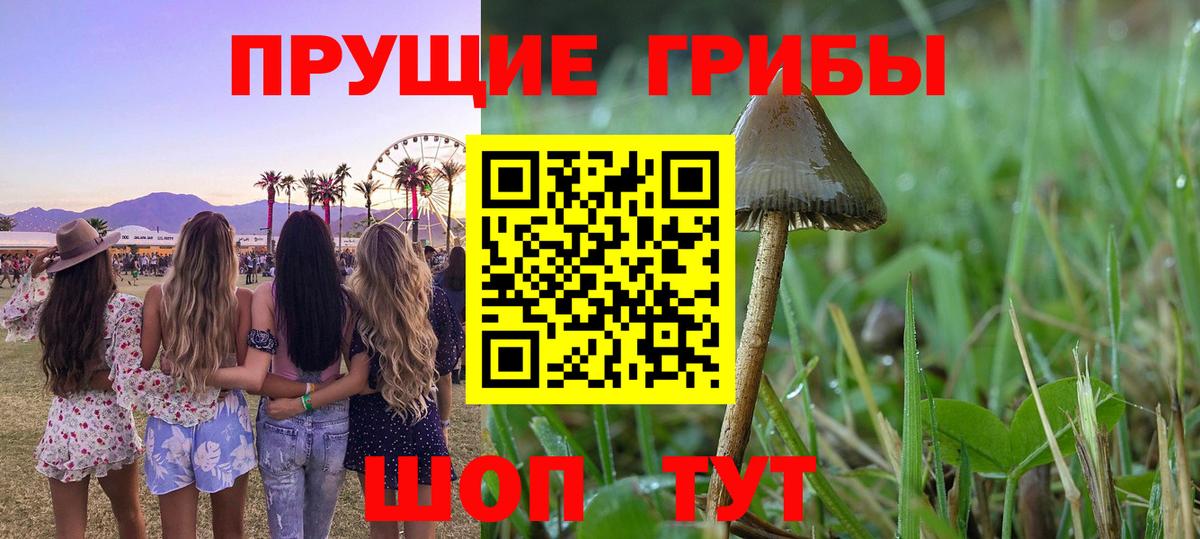 Тобольск  Галлюциногенные грибы MAGIC MUSHROOMS  Галлюциногенные грибы прущие грибы  Вход с VPN 